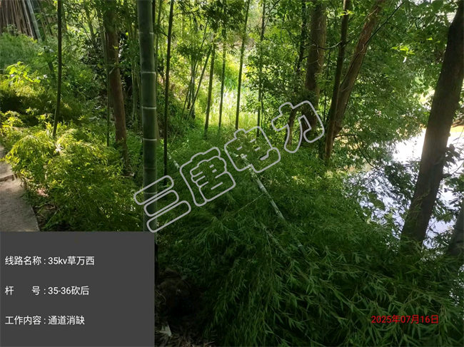 ͨ������-�����������繫˾2025�������·��������