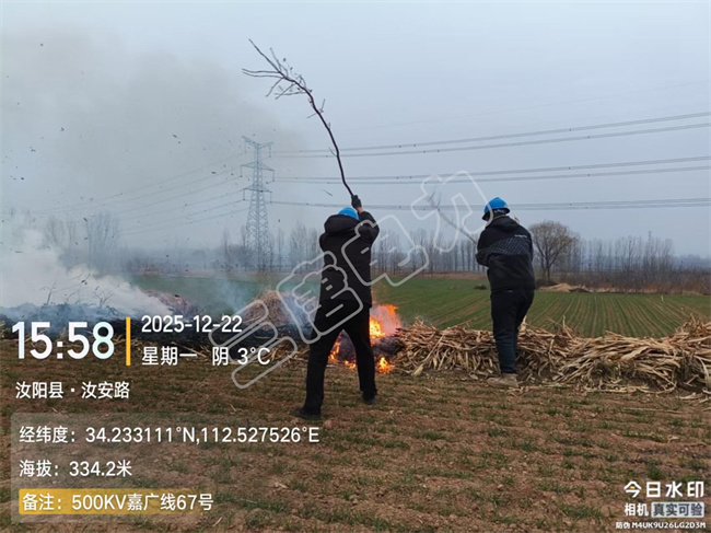 ͨ������-����2025�������·ͨ�����ػ���ά����